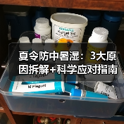 夏令防中暑湿:3大原因拆解+科学应对指南(图2) 夏令防中暑湿:3大原因拆解+科学应对指南(图2)