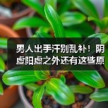 男人出手汗别乱补！阴虚阳虚之外还有这些原因 - 辰飞雨深圳健康科普资讯网