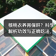 核桃衣养胃保肝？科学解析功效与正确吃法，避免踩坑 - 辰飞雨深圳健康科普资讯网