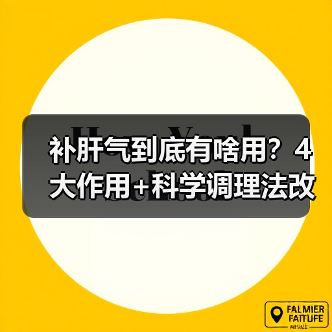补肝气到底有啥用？4大作用+科学调理法改善不适(图2)