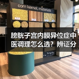 膀胱子宫内膜异位症中医调理怎么选？辨证分型+实用方案缓解不适 - 辰飞雨深圳健康科普资讯网