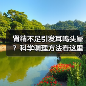 肾精不足引发耳鸣头晕?科学调理方法看这里(图4) 肾精不足引发耳鸣头晕?科学调理方法看这里(图3)