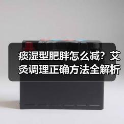 痰湿型肥胖怎么减?艾灸调理正确方法全解析(图4) 痰湿型肥胖怎么减?艾灸调理正确方法全解析(图4)