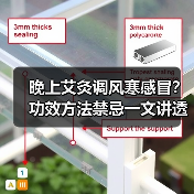 晚上艾灸调风寒感冒？功效方法禁忌一文讲透 - 辰飞雨深圳健康科普资讯网