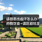 感冒后出虚汗怎么办？药物饮食+误区避坑全攻略 - 辰飞雨深圳健康科普资讯网