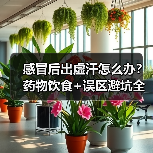 感冒后出虚汗怎么办?药物饮食+误区避坑全攻略(图2) 感冒后出虚汗怎么办?药物饮食+误区避坑全攻略(图2)