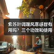 紫苏叶调理风寒感冒有用吗？三个功效和使用要点揭秘 - 辰飞雨深圳健康科普资讯网
