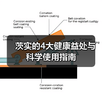 茨实的4大健康益处与科学使用指南 - 辰飞雨深圳健康科普资讯网