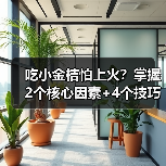 吃小金桔怕上火？掌握2个核心因素+4个技巧，放心吃 - 辰飞雨深圳健康科普资讯网