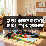 紫苏叶调理风寒感冒有用吗?三个功效和使用要点揭秘(图3) 紫苏叶调理风寒感冒有用吗?三个功效和使用要点揭秘(图3)
