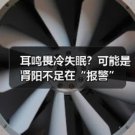 耳鸣畏冷失眠?可能是肾阳不足在“报警”(图3) 耳鸣畏冷失眠?可能是肾阳不足在“报警”(图2)