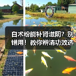 白术粉能补肾滋阴?别错用!教你辨清功效选对药材(图4) 白术粉能补肾滋阴?别错用!教你辨清功效选对药材(图4)
