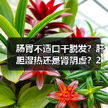肠胃不适口干脱发?肝胆湿热还是肾阴虚?2个关键鉴别,别再乱调!(图2) 肠胃不适口干脱发?肝胆湿热还是肾阴虚?2个关键鉴别,别再乱调!(图2)