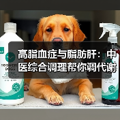 高脂血症与脂肪肝：中医综合调理帮你调代谢护肝脏 - 辰飞雨深圳健康科普资讯网