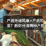 产后外感风寒≠产后风湿?教你分清两种产后不适(图4) 产后外感风寒≠产后风湿?教你分清两种产后不适(图4)