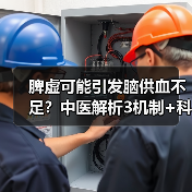 脾虚可能引发脑供血不足？中医解析3机制+科学调理法 - 辰飞雨深圳健康科普资讯网