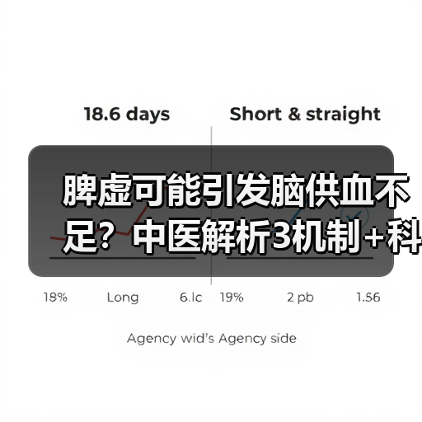 脾虚可能引发脑供血不足?中医解析3机制+科学调理法(图4) 脾虚可能引发脑供血不足?中医解析3机制+科学调理法(图4)