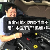 脾虚可能引发脑供血不足?中医解析3机制+科学调理法(图3) 脾虚可能引发脑供血不足?中医解析3机制+科学调理法(图3)