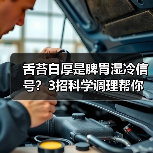 舌苔白厚是脾胃湿冷信号？3招科学调理帮你健脾祛湿 - 辰飞雨深圳健康科普资讯网