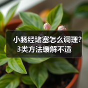 小肠经堵塞怎么调理?3类方法缓解不适(图3) 小肠经堵塞怎么调理?3类方法缓解不适(图3)
