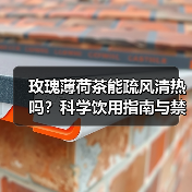 玫瑰薄荷茶能疏风清热吗？科学饮用指南与禁忌解析(图3)