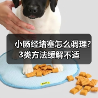 小肠经堵塞怎么调理?3类方法缓解不适(图4) 小肠经堵塞怎么调理?3类方法缓解不适(图4)