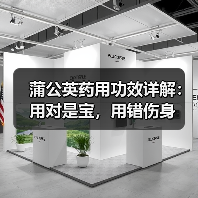 蒲公英药用功效详解:用对是宝,用错伤身(图3) 蒲公英药用功效详解:用对是宝,用错伤身(图3)