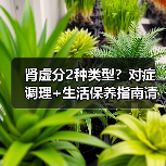 肾虚分2种类型?对症调理+生活保养指南请收好(图3) 肾虚分2种类型?对症调理+生活保养指南请收好(图3)