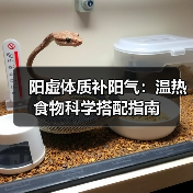 阳虚体质补阳气:温热食物科学搭配指南(图2) 阳虚体质补阳气:温热食物科学搭配指南(图2)