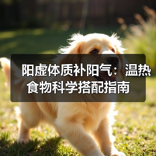 阳虚体质补阳气:温热食物科学搭配指南(图3) 阳虚体质补阳气:温热食物科学搭配指南(图3)