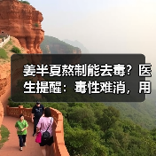 姜半夏熬制能去毒?医生提醒:毒性难消,用对才安全(图4) 姜半夏熬制能去毒?医生提醒:毒性难消,用对才安全(图4)