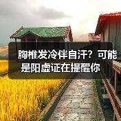胸椎发冷伴自汗?可能是阳虚证在提醒你(图3) 胸椎发冷伴自汗?可能是阳虚证在提醒你(图3)