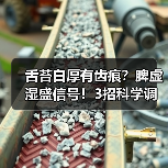 舌苔白厚有齿痕?脾虚湿盛信号!3招科学调理改善(图3) 舌苔白厚有齿痕?脾虚湿盛信号!3招科学调理改善(图3)