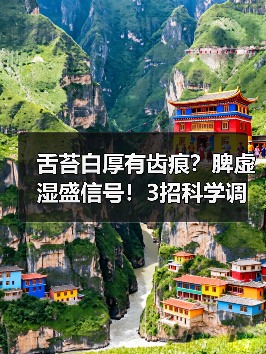 舌苔白厚有齿痕？脾虚湿盛信号！3招科学调理改善 - 辰飞雨深圳健康科普资讯网