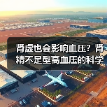 肾虚也会影响血压?肾精不足型高血压的科学调理指南(图3) 肾虚也会影响血压?肾精不足型高血压的科学调理指南(图3)