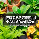 健康资讯科普指南：5个方法教你选对靠谱内容，实用收藏 - 辰飞雨深圳健康科普资讯网
