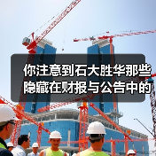 你注意到石大胜华那些隐藏在财报与公告中的“暗流”了吗?(图3) 你注意到石大胜华那些隐藏在财报与公告中的“暗流”了吗?(图3)