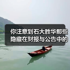 你注意到石大胜华那些隐藏在财报与公告中的“暗流”了吗?(图4) 你注意到石大胜华那些隐藏在财报与公告中的“暗流”了吗?(图4)