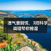 湿气重别慌,3招科学调理帮你排湿(图4) 湿气重别慌,3招科学调理帮你排湿(图4)