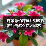 评审总怕踩坑?财政投资的钱怎么花才能不“翻车”?(图3) 评审总怕踩坑?财政投资的钱怎么花才能不“翻车”?(图3)