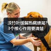 淡竹叶缓解热病烦渴?3个核心作用要清楚(图2) 淡竹叶缓解热病烦渴?3个核心作用要清楚(图2)
