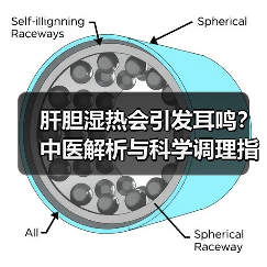 肝胆湿热会引发耳鸣?中医解析与科学调理指南(图3) 肝胆湿热会引发耳鸣?中医解析与科学调理指南(图3)