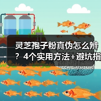 灵芝孢子粉真伪怎么辨?4个实用方法+避坑指南(图1) 灵芝孢子粉真伪怎么辨?4个实用方法+避坑指南(图1)
