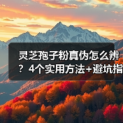 灵芝孢子粉真伪怎么辨?4个实用方法+避坑指南(图3) 灵芝孢子粉真伪怎么辨?4个实用方法+避坑指南(图3)