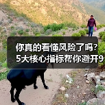 你真的看懂风险了吗？5大核心指标帮你避开