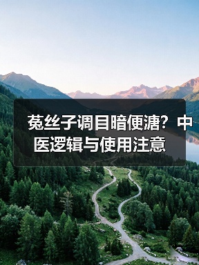 菟丝子调目暗便溏？中医逻辑与使用注意 - 辰飞雨深圳健康科普资讯网