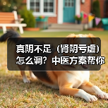 真阴不足(肾阴亏虚)怎么调?中医方案帮你改善症状(图3) 真阴不足(肾阴亏虚)怎么调?中医方案帮你改善症状(图3)