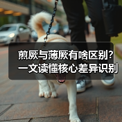 煎厥与薄厥有啥区别?一文读懂核心差异识别健康信号(图2) 煎厥与薄厥有啥区别?一文读懂核心差异识别健康信号(图2)
