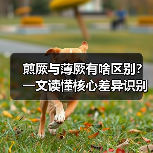 煎厥与薄厥有啥区别?一文读懂核心差异识别健康信号(图3) 煎厥与薄厥有啥区别?一文读懂核心差异识别健康信号(图3)