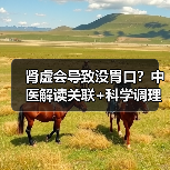 肾虚会导致没胃口？中医解读关联+科学调理指南 - 辰飞雨深圳健康科普资讯网